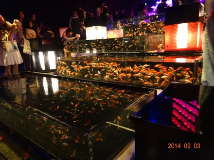 金魚アート　日本橋