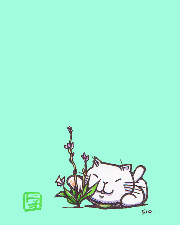 今日