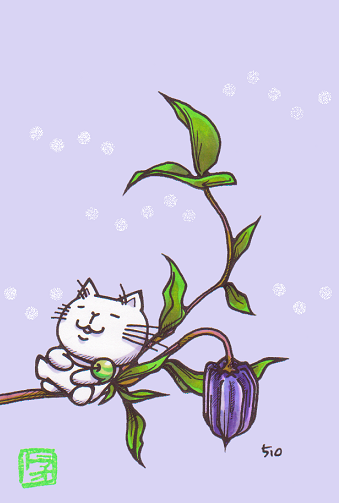 梅雨明け