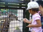 動物園へ