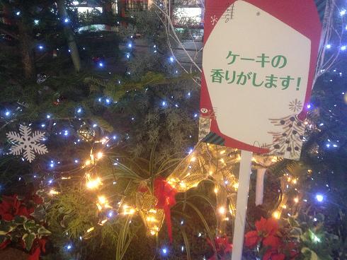 静岡駅～呉服町～青葉シンボルロードのイルミネーション