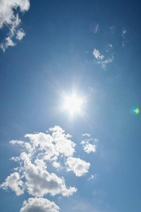 夏の日差し♬