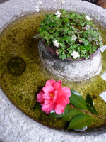 月曜定休日①
