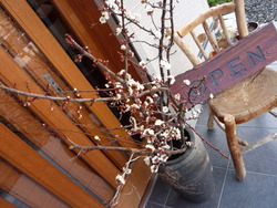 2月23日
