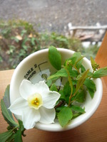 本日は定休日です。