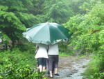 夏山へ・・・。