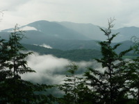 夏山へ・・・。