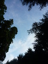 夏山へ・・・。