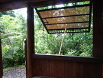 夏山へ・・・。
