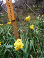 おはようございます。