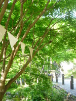 ありがとうございました。