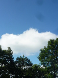久しぶり。