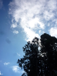 久しぶり。