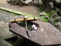 寺活＠臨済寺