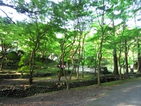 寺活＠洞慶院