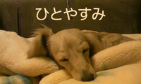 夏休みのおしらせ
