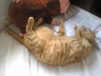 飼い主旅に出る