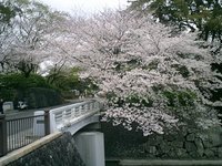 熱い！？しずおかまつりの朝