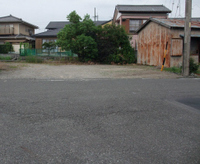 2011年11月25日