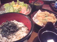 2009年03月09日