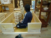 杉のつみき