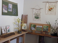 展示