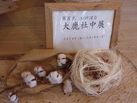 開催中