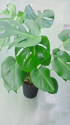 もっと成長したいと思ったら？