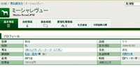 ミーシャレヴュー、繁殖入り判明。あの馬も…！