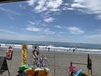 ８月19日静波かもめ