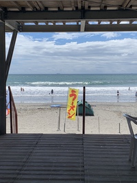 8月６日静波かもめから