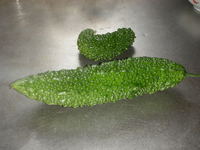夏の野菜・・・