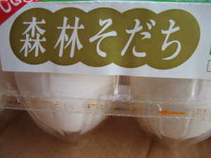 今日は・・・？