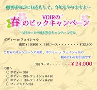 春のビックキャンペーン！！