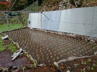 岩下植え付け完了