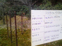 設置しました。