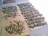出荷調整