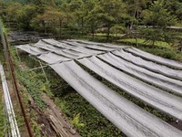 村沢