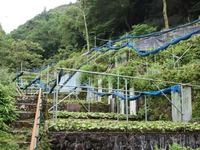 匠の沢