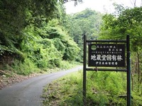 地蔵堂入り山葵田