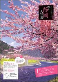 womo３月号、特集は「春の静岡」
