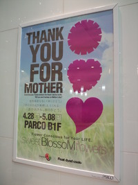 sweetBlossoMflowers IN RARCO