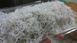 秋しらす