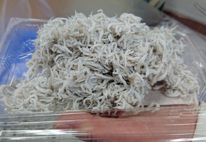 新物釜上げしらすあります。
