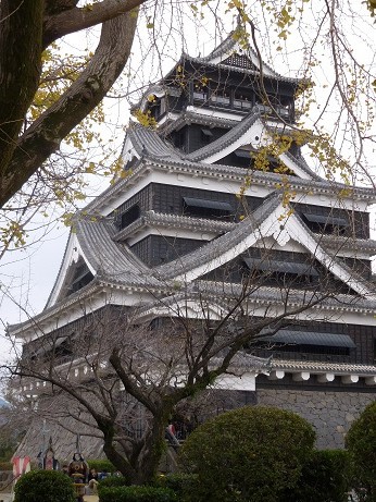 熊本研修