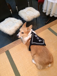 福はうち。