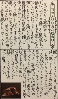 「ひねもすだより　27号」”ヨツメグサのこだわり”