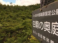 白駒池ハイキング