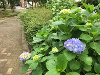 第47回「ぐっすり講座」のまとめ