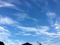 セロトニンのこと